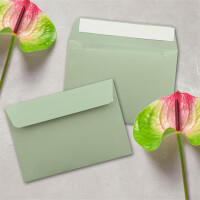 25x Briefumschläge Eukalyptus-Grün DIN C6 Format 11,4 x 16,2 cm - Haftklebung - Kuverts ohne Fenster - Weihnachten, Grußkarten & Einladungen - Für A6 & A4 Papier