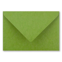 75x Vintage Briefumschläge in hellgrün (grün) DIN B6 125 x 178 mm Kraftpapier 120 g/m² Recycling Nassklebung Spitzklappe - UmWelt by GUSTAV NEUSER