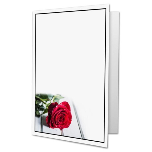 Motiv Rose
